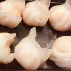 Best Har Gao in Medford, MA